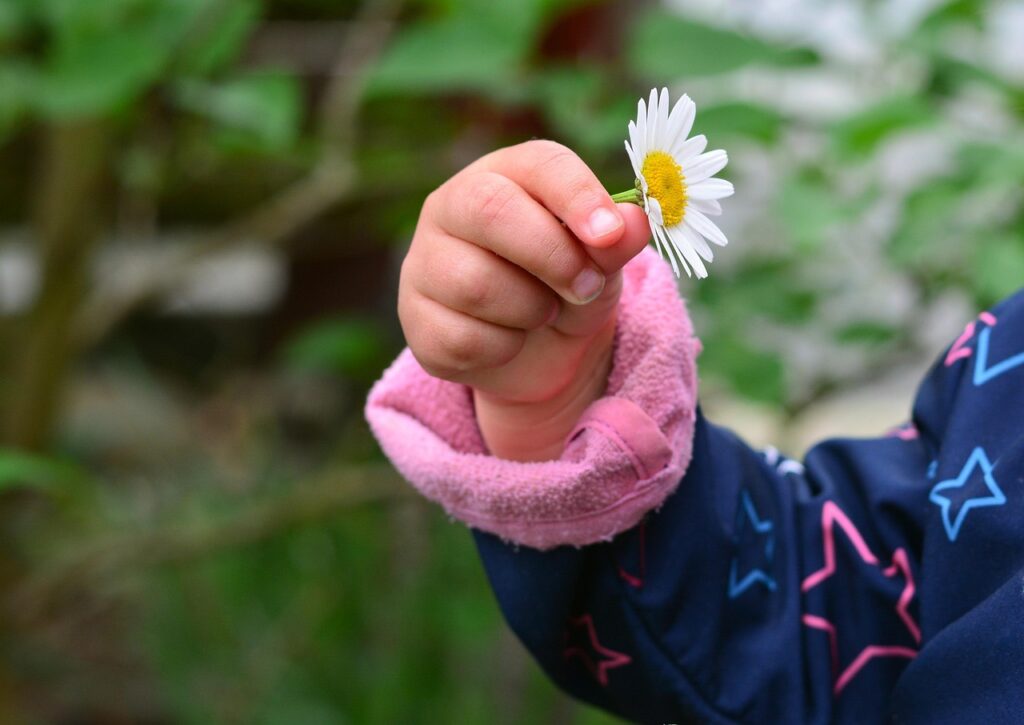 opleidingsplaats tot orthopedagoog-generalist